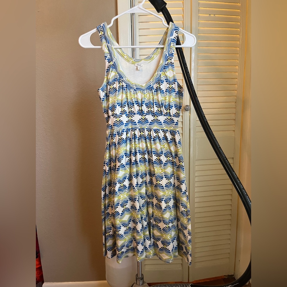 Fossil Dress XS